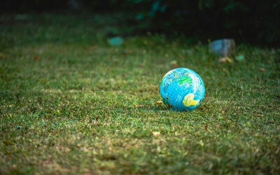 Greenners: un hub per la condivisione di buone pratiche sostenibili